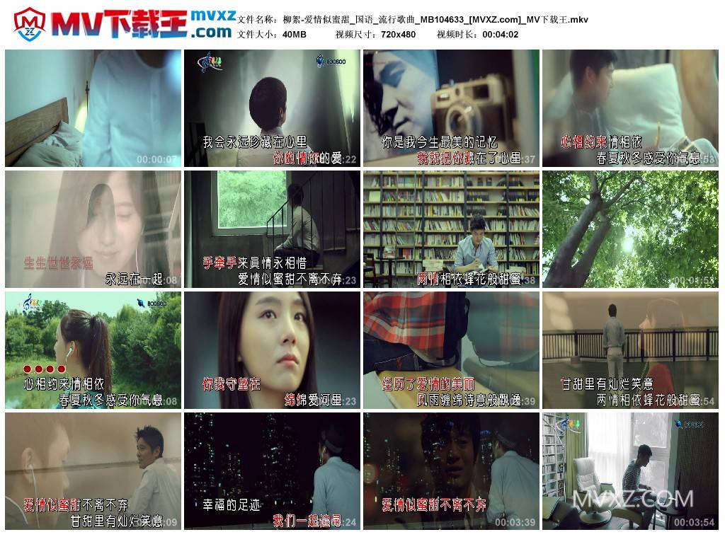柳絮-爱情似蜜甜_国语_流行歌曲_MB104633
